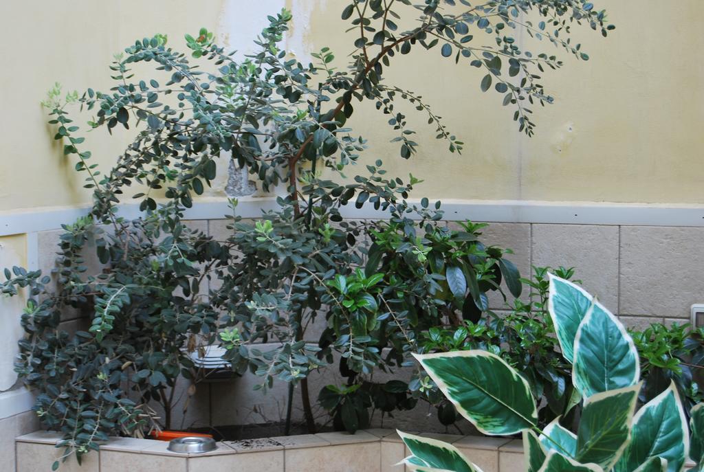 Apartment Casa Francesca Сиракузы Экстерьер фото